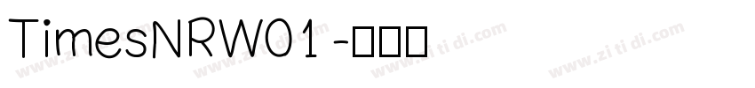 TimesNRW01 字体转换